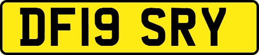 DF19SRY