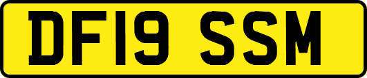 DF19SSM