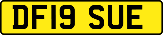 DF19SUE