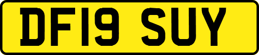 DF19SUY