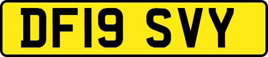 DF19SVY