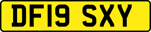 DF19SXY