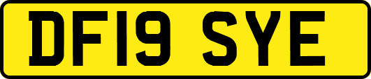 DF19SYE