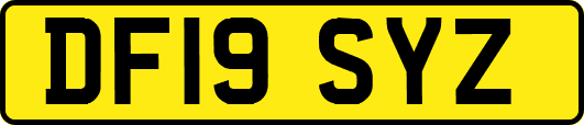 DF19SYZ