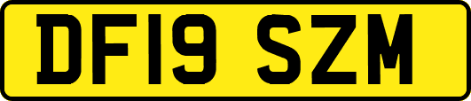 DF19SZM