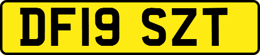 DF19SZT