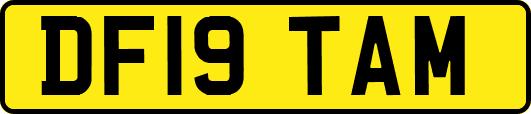 DF19TAM
