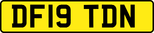 DF19TDN