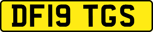 DF19TGS