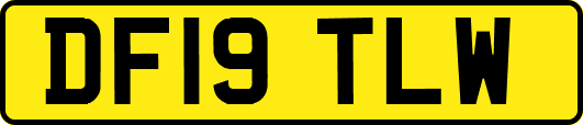 DF19TLW