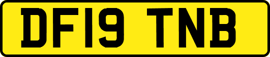 DF19TNB