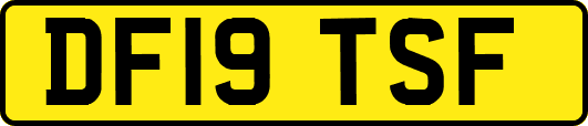 DF19TSF