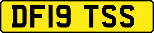 DF19TSS