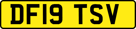 DF19TSV