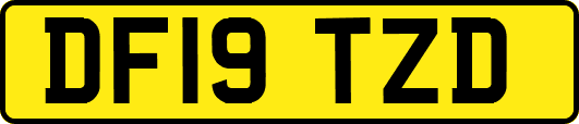 DF19TZD