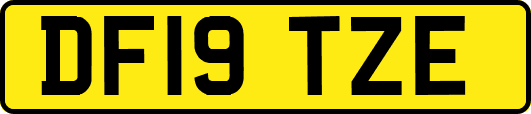 DF19TZE