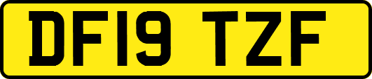 DF19TZF