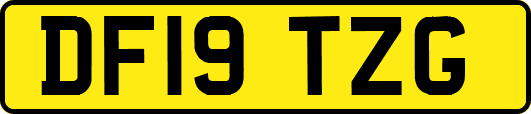 DF19TZG