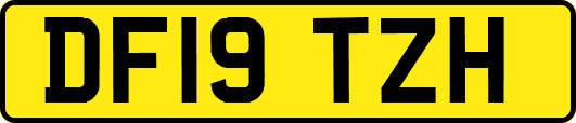 DF19TZH