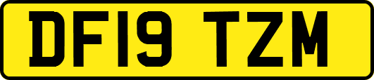 DF19TZM