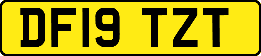 DF19TZT