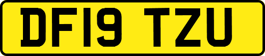 DF19TZU