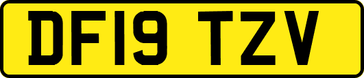 DF19TZV
