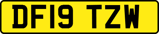 DF19TZW