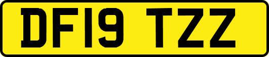 DF19TZZ