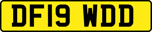 DF19WDD