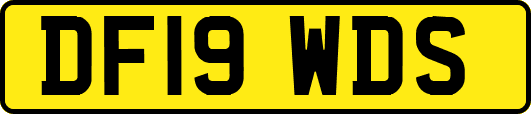 DF19WDS