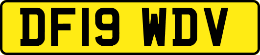 DF19WDV