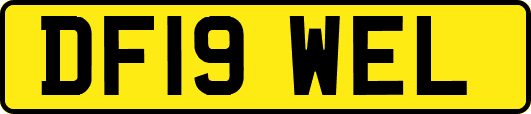 DF19WEL