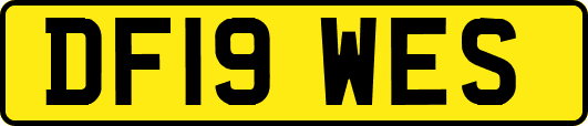 DF19WES