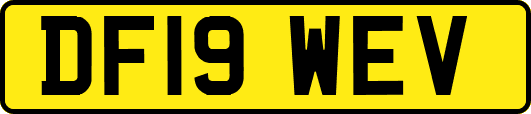 DF19WEV