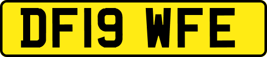 DF19WFE