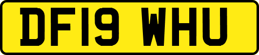 DF19WHU