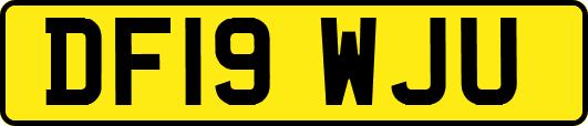 DF19WJU