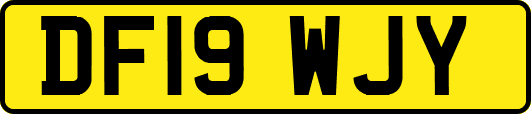 DF19WJY