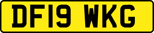 DF19WKG