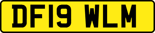 DF19WLM