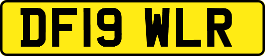 DF19WLR