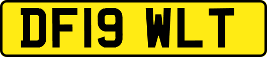 DF19WLT