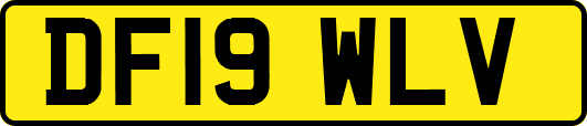DF19WLV