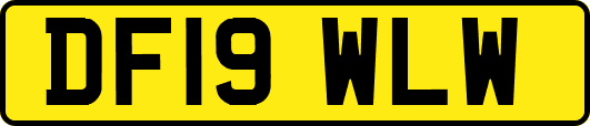 DF19WLW