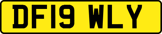 DF19WLY