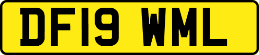 DF19WML