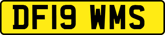 DF19WMS
