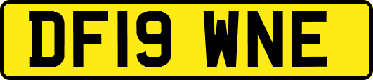 DF19WNE