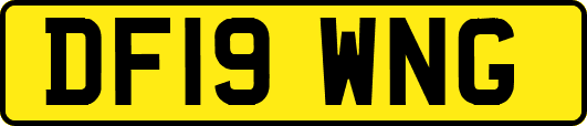 DF19WNG